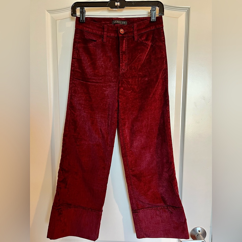 Level 99 Red Velvet Pants, size 24